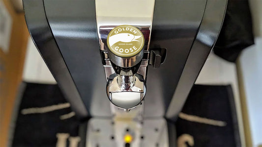 Golden Goose (Goose Island) Perfect Draft Medallion Magnet