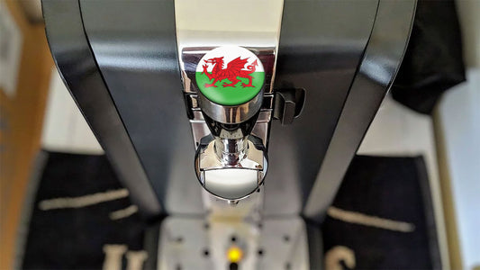 Wales Flag Perfect Draft Medallion Magnet
